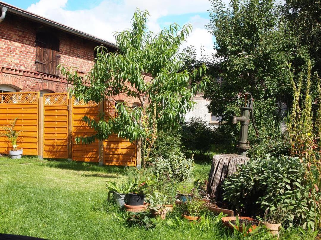 Neu Fewo Im Bauernhaus Mit Idyllischem Innenhof Und Naturgarten Mesekenhagen Kültér fotó